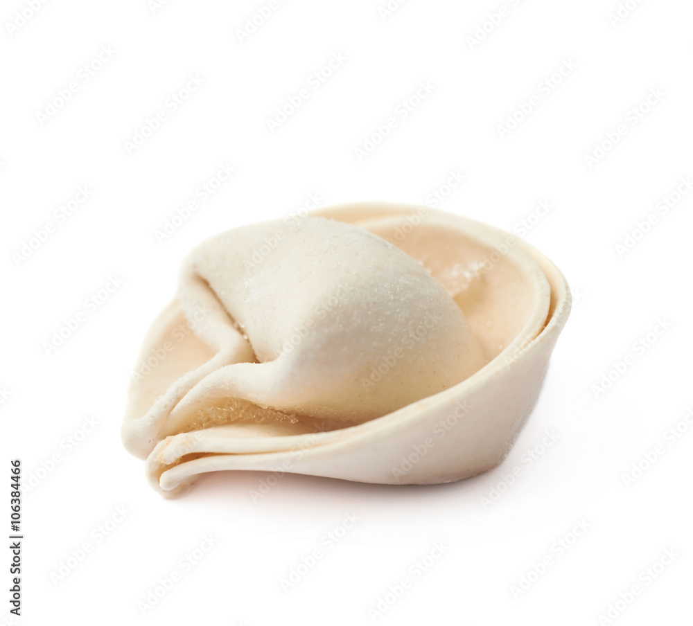 Single frozen dumpling isolated Single frozen dumpling isolated