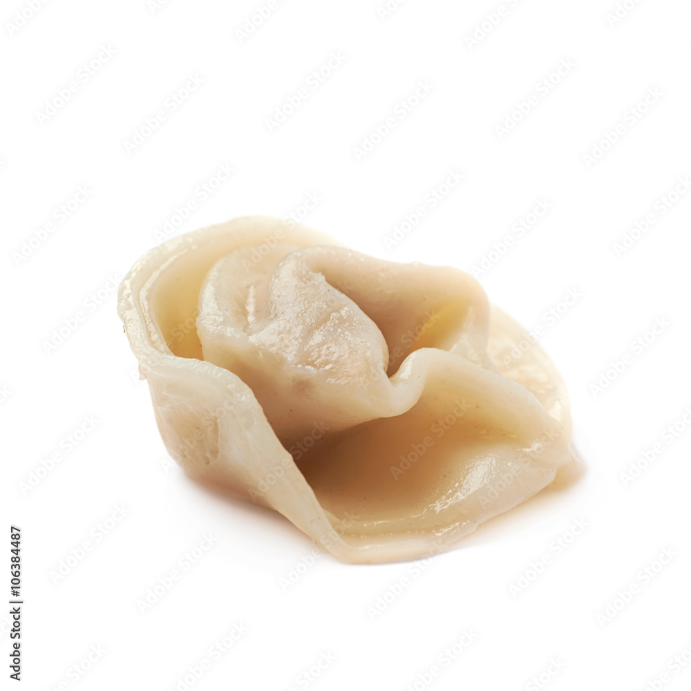 Single cooked dumpling isolated Single cooked dumpling isolated
