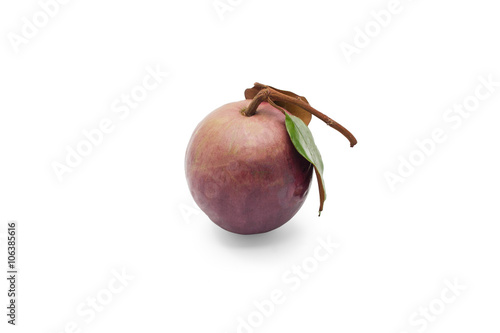Star apple or cainito isolated on white background photo