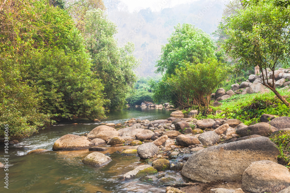 The river and stone with tree in forest beautiful nature of Asi The river and stone with tree in forest beautiful nature of Asi