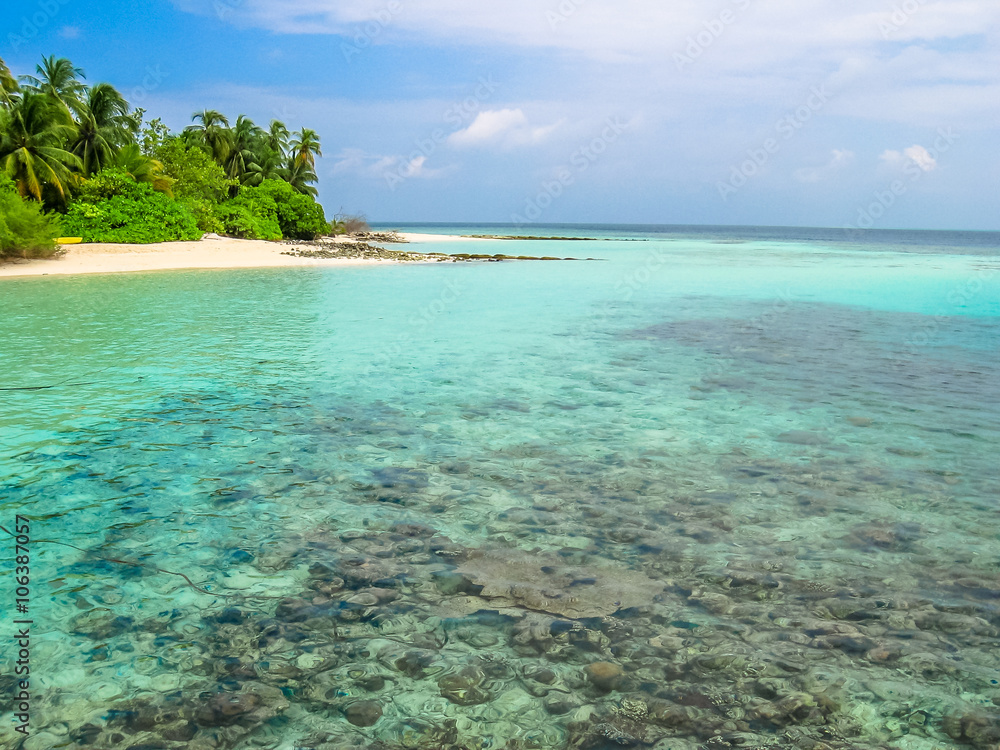 Fototapeta premium Maldives, Indian Ocean. Palm trees on the white sand beach. Turquoise water of the lagoon paradise. Rocks in the sea and coral reef. North Male Atoll Asdu.