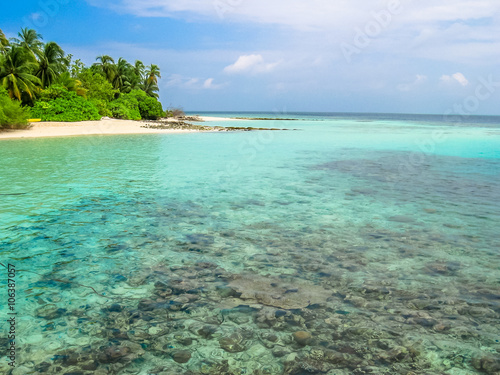 Maldives, Indian Ocean. Palm trees on the white sand beach. Turquoise water of the lagoon paradise. Rocks in the sea and coral reef. North Male Atoll Asdu.