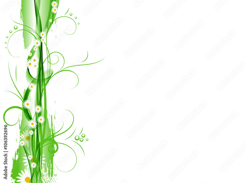 Daisies on white background flowers and petals Daisies on white background flowers and petals