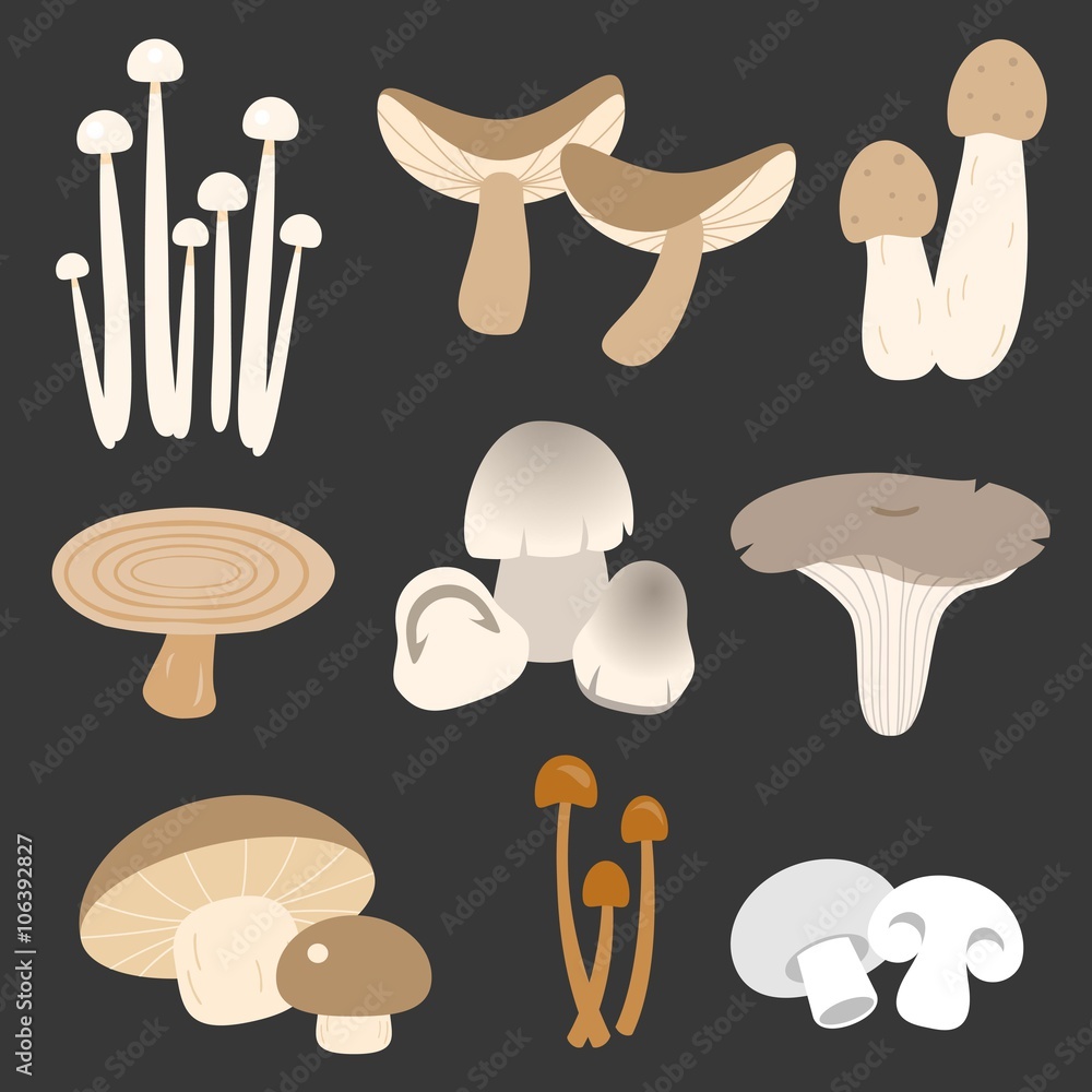 Vector eatable thai mushroom in flat style Vector eatable thai mushroom in flat style