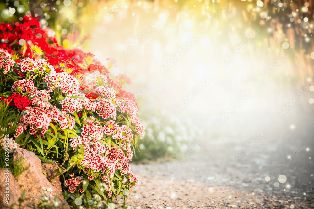 Flower Park Background
