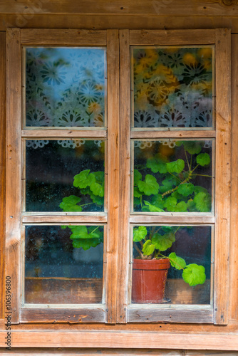 geranium flower on a windowsill in a village house