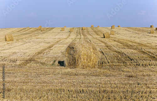 haystacks straw , close up photo