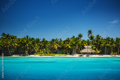 Palm trees on the tropical beach