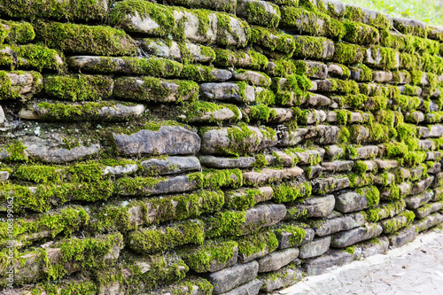 Green moss on old stone wall