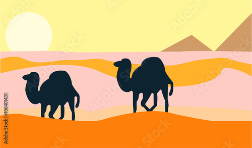 Camels  who go through the wilderness