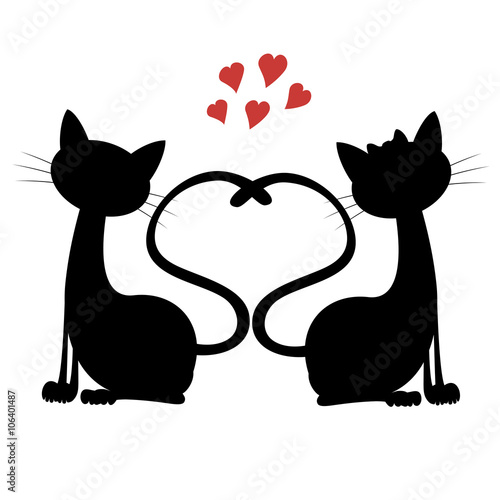 Cute cats - Silhouette of a cat couple in love