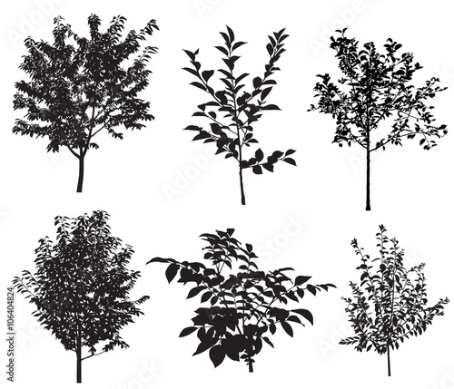 Collection of silhouettes of garden trees. Vector.