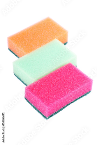 Sponges