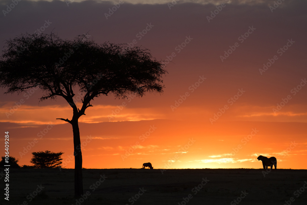 masai mara dawn with animals in silhouette