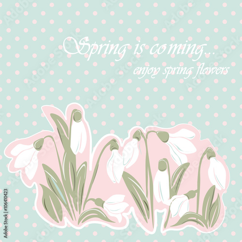 Snowdrop flowers Blossom spring card. Vector spring background.Calligraphic f...