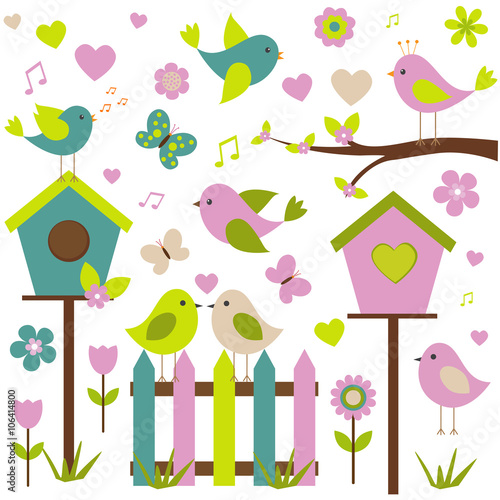 Vector set of spring theme. Love birds, spring plants and butterflies.