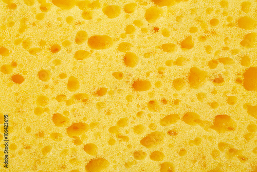 Sponge texture