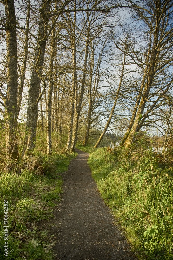 Hiking trail at Netul landing along the Lewis and Clark river on a Spring evening in the Pacific Northwest
