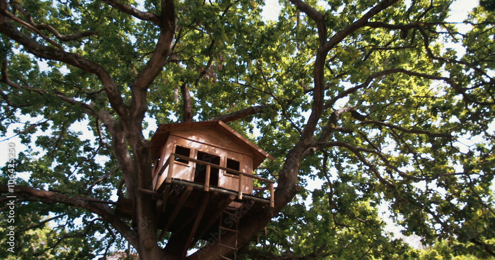 Establishing shot of big tree house in an oak tree Establishing shot of big tree house in an oak tree