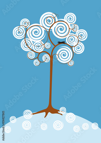 curly winter