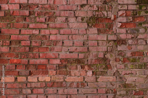 Old mossy brick wall