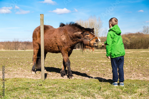 Boy feeding horse