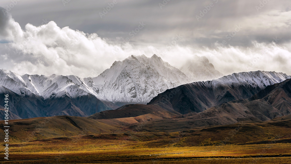Obraz premium The early-Autumn snow-line is clearly illustrated across a portion of the Alaska range in Denali National Park, Alaska.