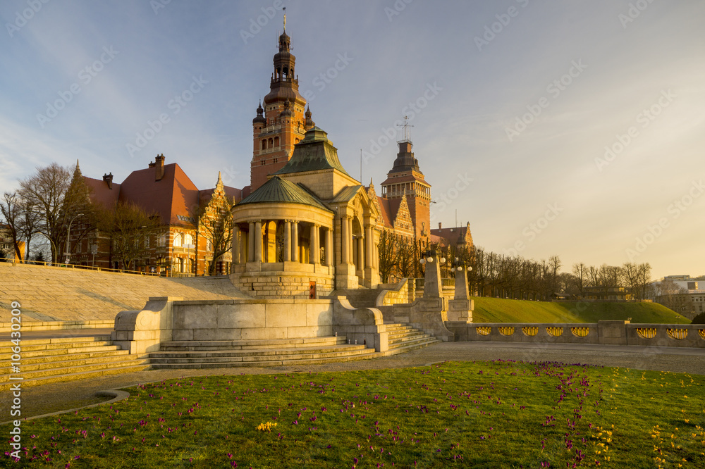 Fototapeta premium Wały Chrobrego ,kwitnące krokusy,Szczecin