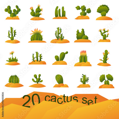 Different types of cactus plants. Decorative icons set, isolated vector illustration.