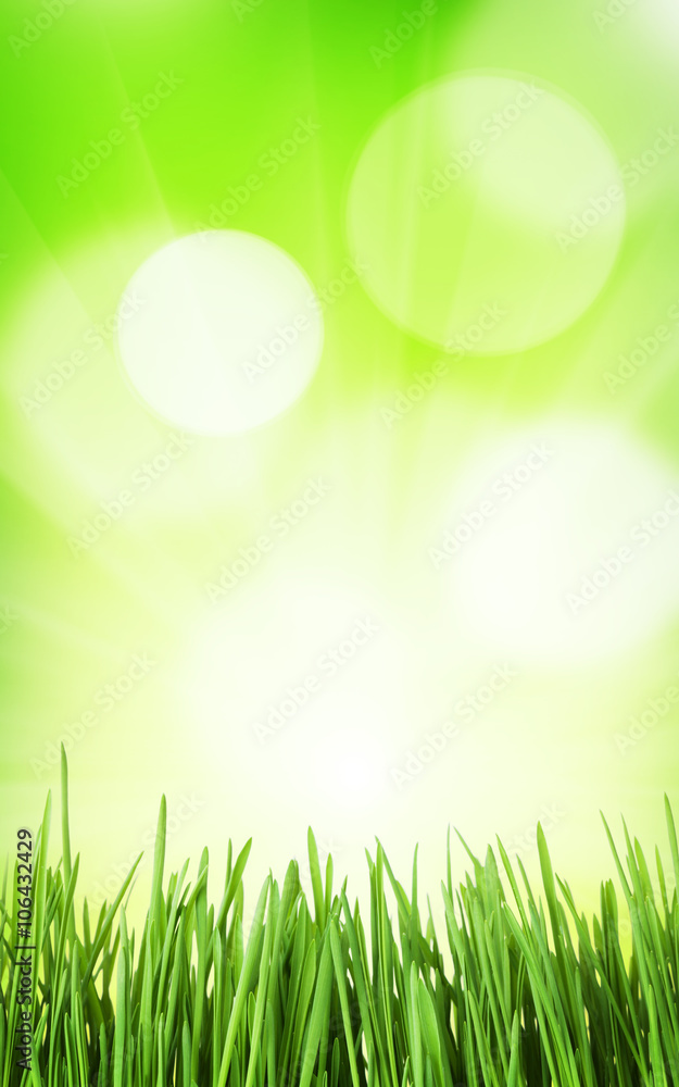 Sunny spring background with grass and bokeh