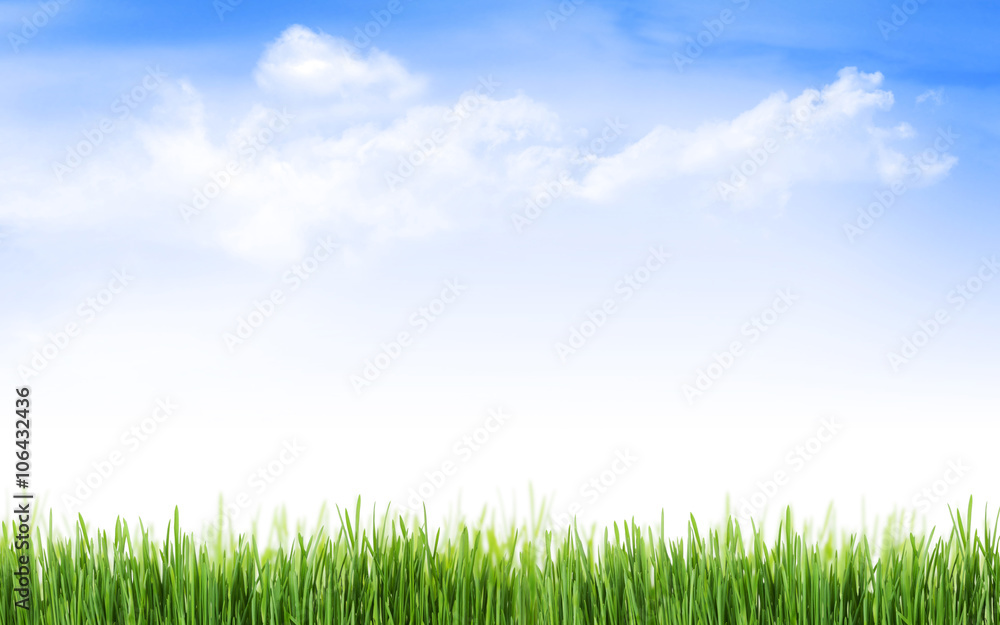 Abstract sunny spring background