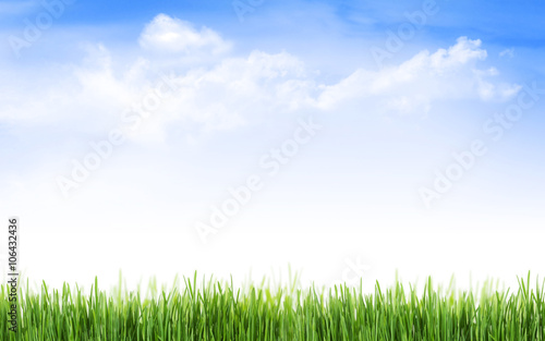 Abstract sunny spring background