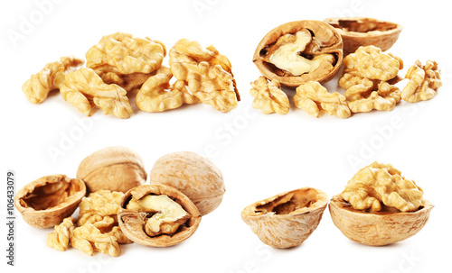 Walnut isolated on a white background, collage