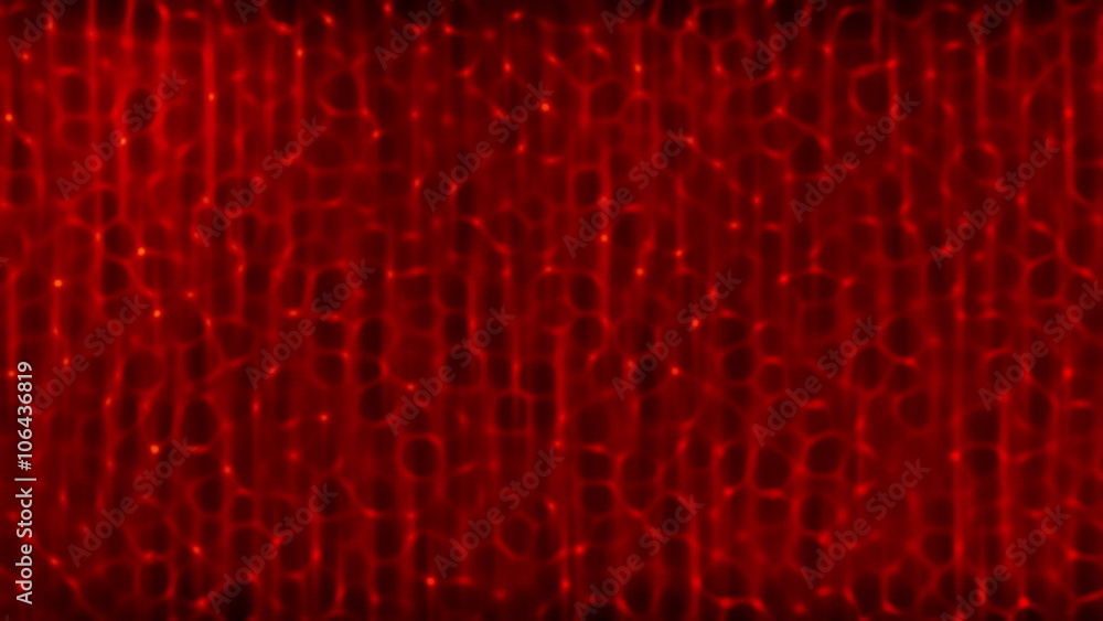 Red abstract plexus water background Red abstract plexus water background