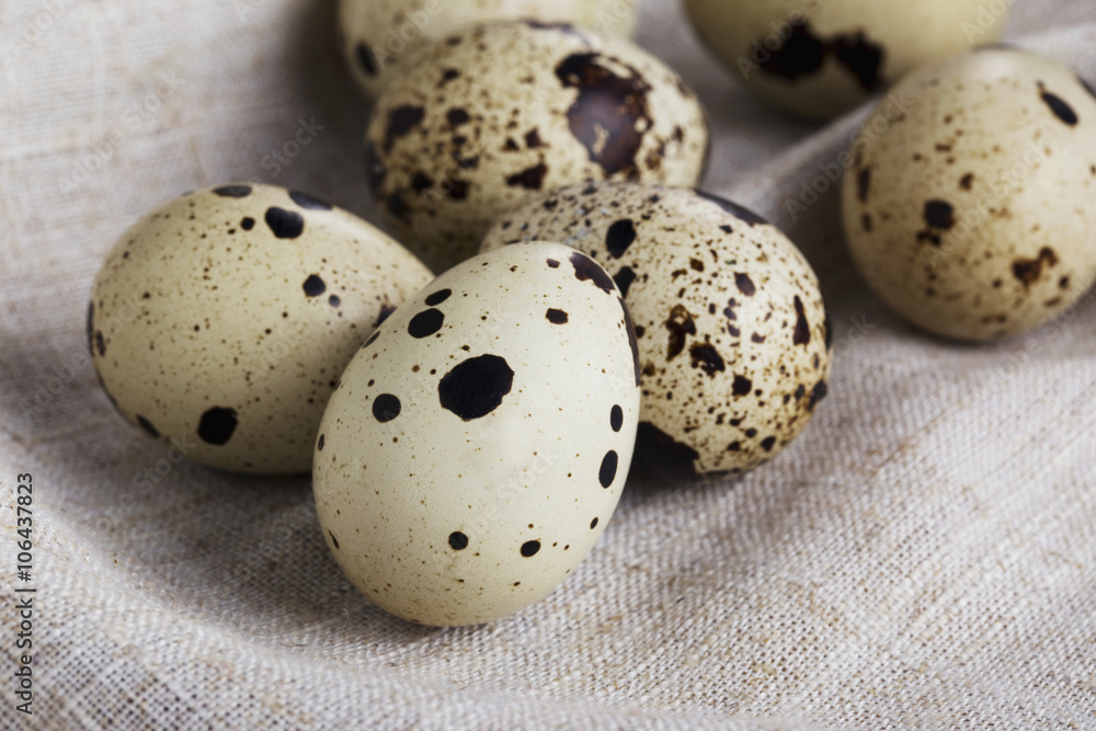 little quail eggs