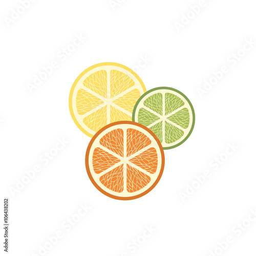Fruit Icon. Fruit isolated background. Citrus isolated background. Vector illustration fruit. Fresh tropical fruit.