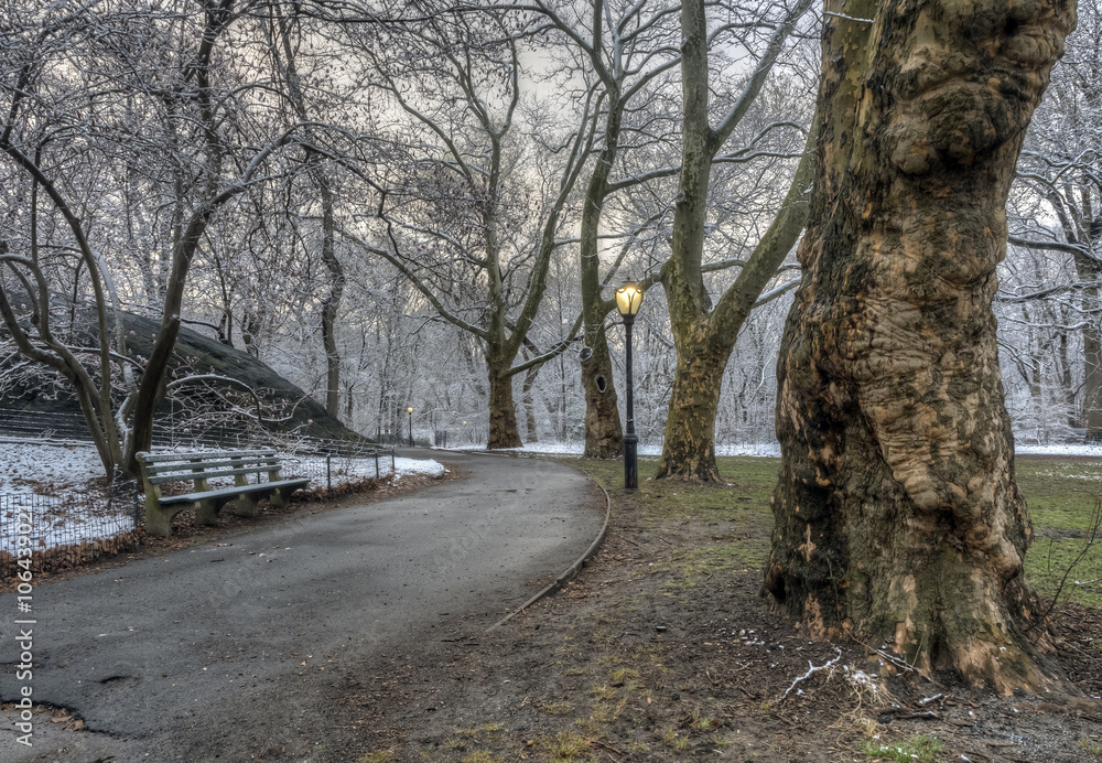 Naklejka premium Central Park, New York City after snow storm