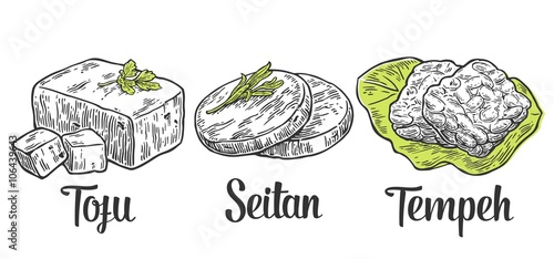 Set Vegan and Vegetarian food. Tofu, Seitan, Tempeh . Vector color vintage engraved illustration isolated on white background