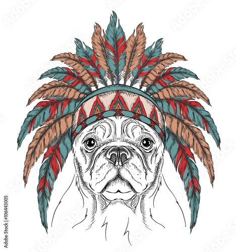 Dog in the Indian roach. Indian feather headdress of eagle. Hand draw vector  illustration