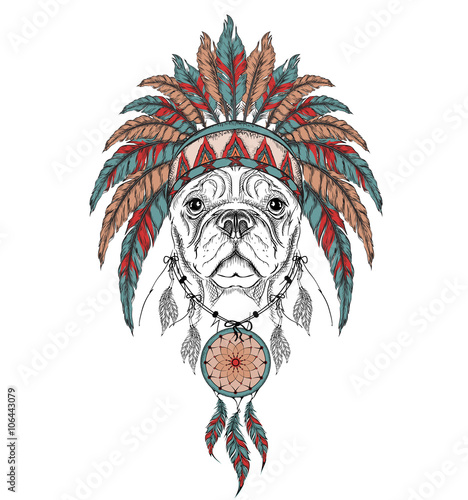 Dog in the Indian roach. Indian feather headdress of eagle. Hand draw vector  illustration