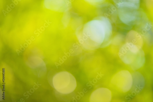 Green nature background