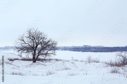 Wallpaper Mural Single tree on winter field Torontodigital.ca