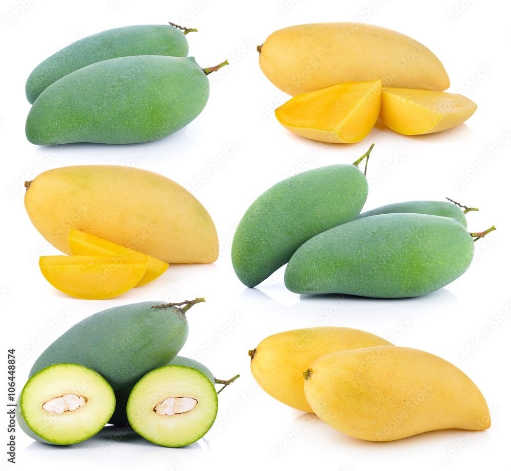mango on white background mango on white background