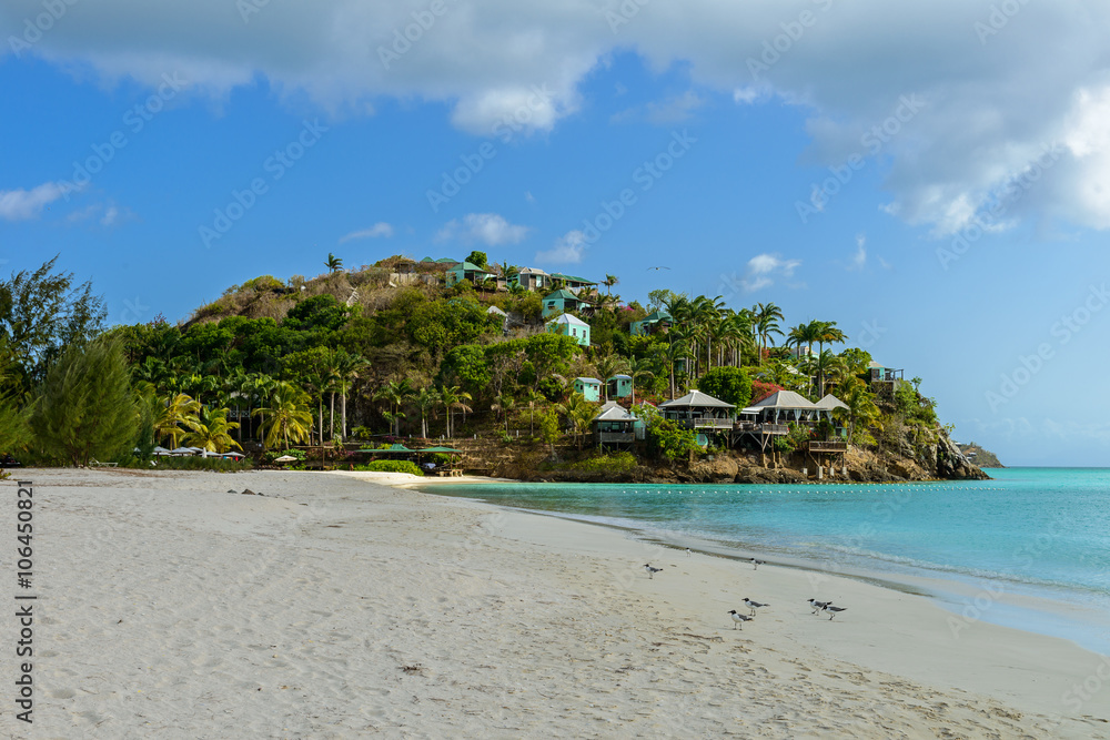 Tropical beach at Antigua island in Caribbean with white sand, t