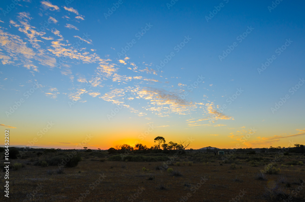 Australian remote bush outback at sunrise