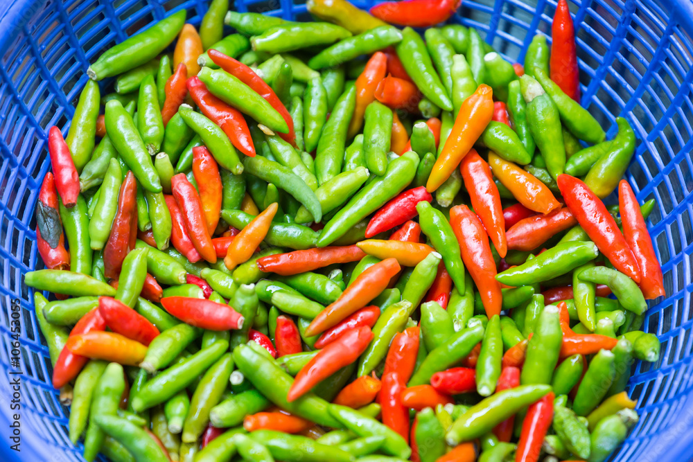 Bird Chilli Bird Chilli