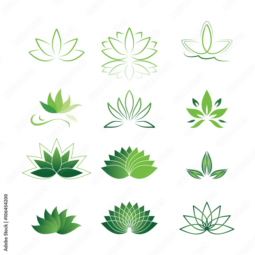 Fototapeta premium water lily, lotus flower icon set