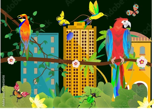 Tropical rainforest and man's urban buldings seen through the trees. Parrot and kingfisher on tree branch