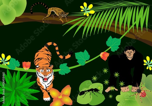 Tiger walking in tropical rainforest, gorilla ape, lemur and insects, vector illustration