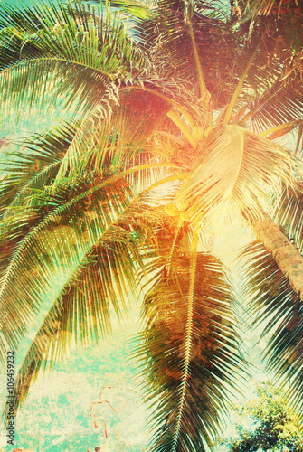 Tropical Palm Tree Sky Toned Shabby Effect Holiday